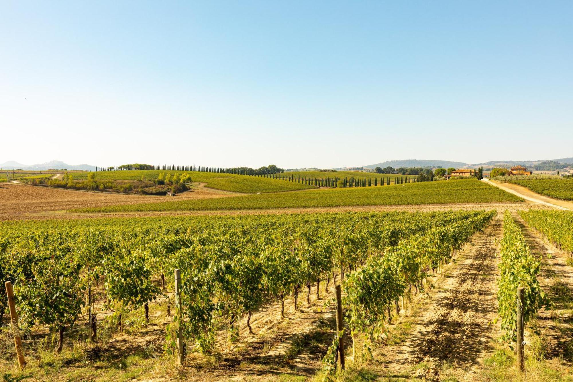 Prugnolo Villa Montepulciano Stazione Eksteriør bilde