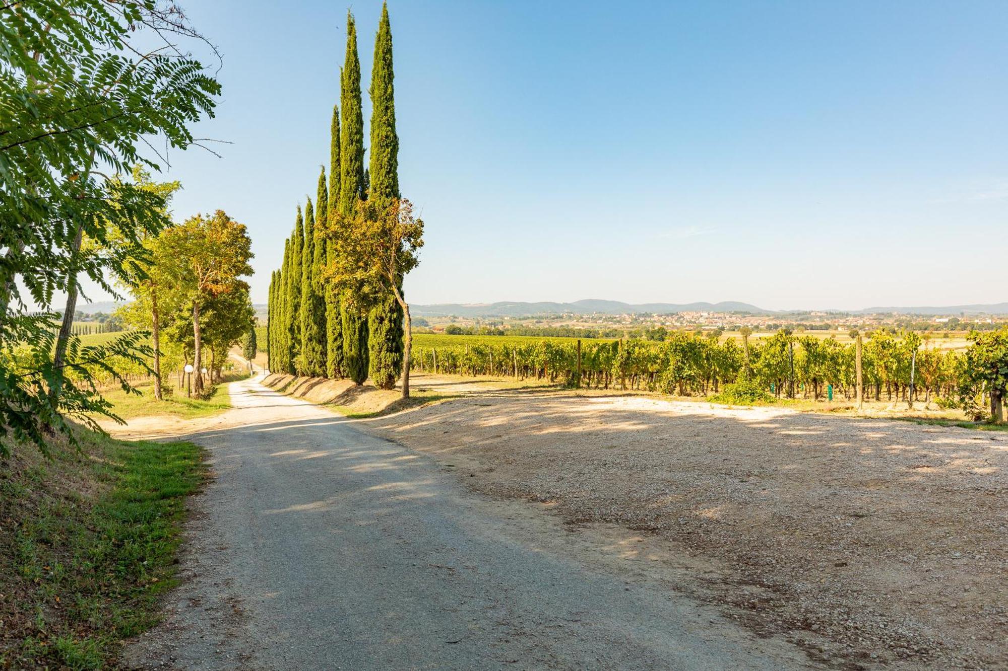 Prugnolo Villa Montepulciano Stazione Eksteriør bilde